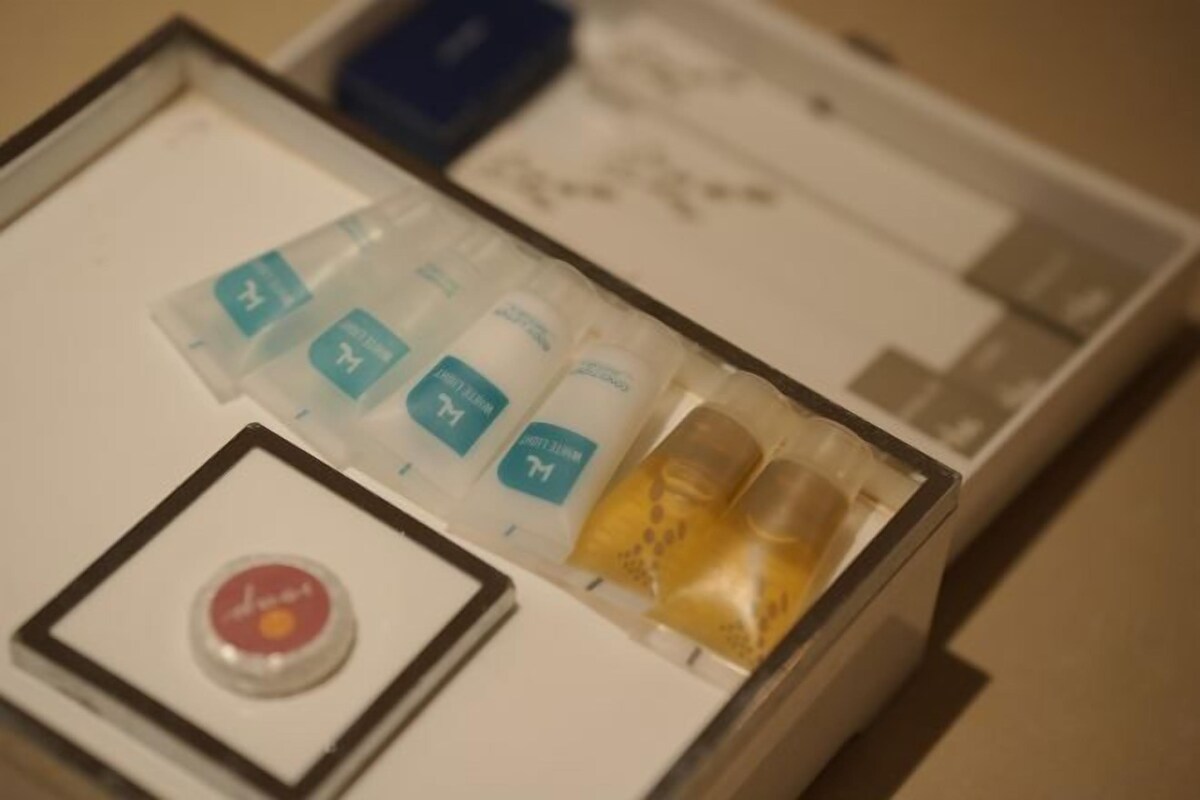 A neatly arranged set of toiletries in a box, including a toothbrush, toothpaste, and a small bottle of lotion.