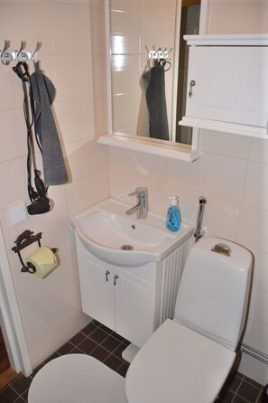 Shower, hydromassage showerhead, hair dryer, bidet