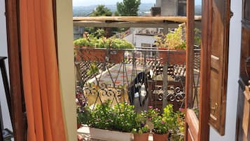 Vista del balcón