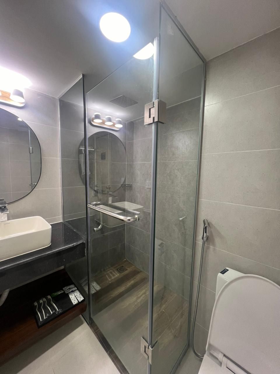 A modern bathroom with a glass-enclosed shower, a white sink, and a toilet.