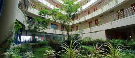 Garden view