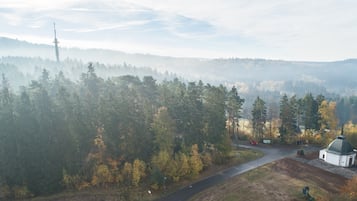 A rural landscape with a road, a small white building with a dome, and a forested area.