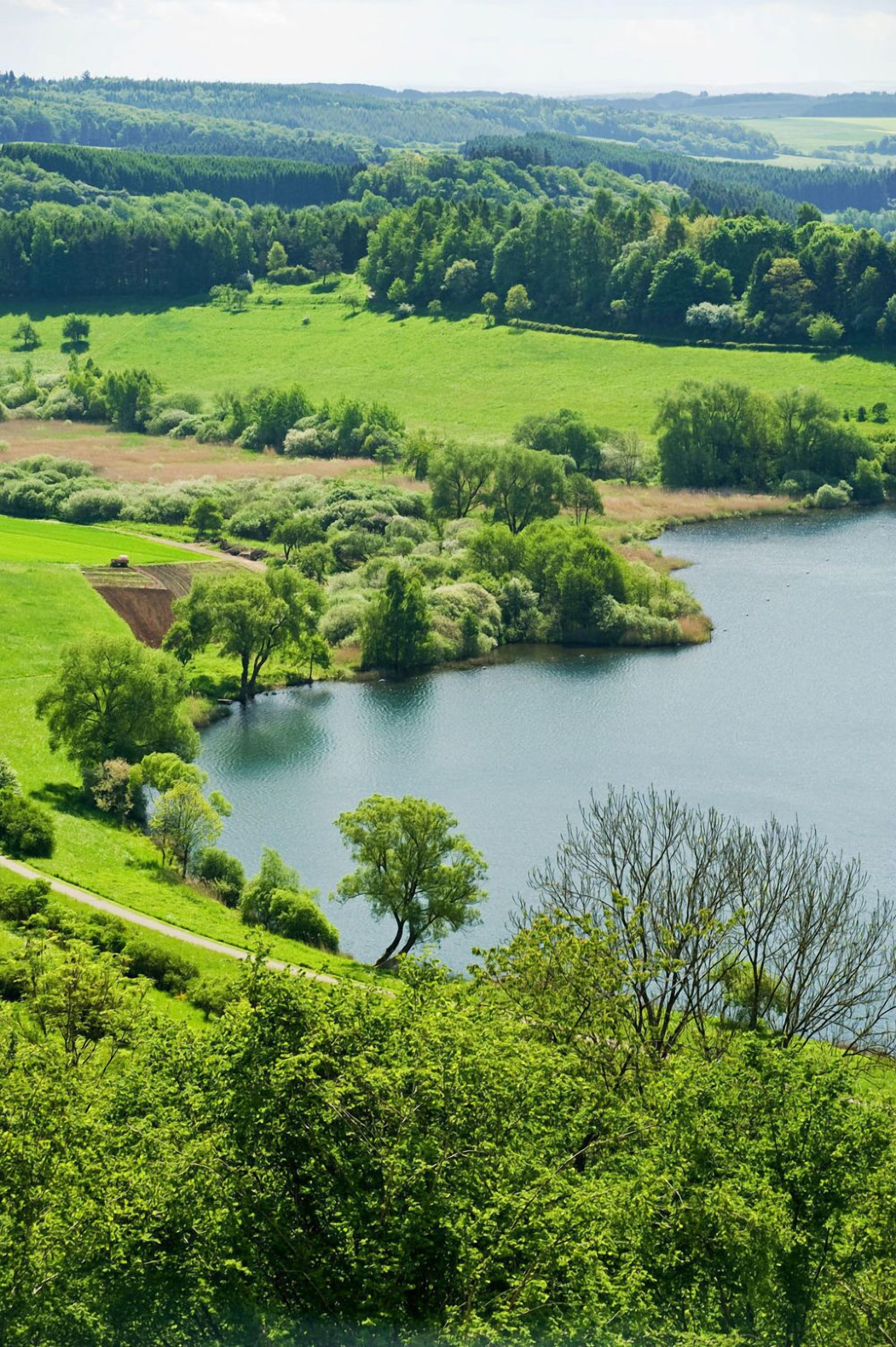 Et fredfyldt landskab med en sø omgivet af frodig vegetation og træer.