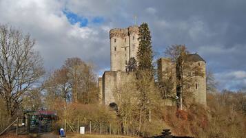 A historic stone castle with a tall tower, surrounded by trees and a small gatehouse.