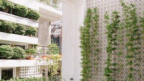 Un atrio de varios niveles con plantas de interior, un muro con diseño y suelo de baldosas.