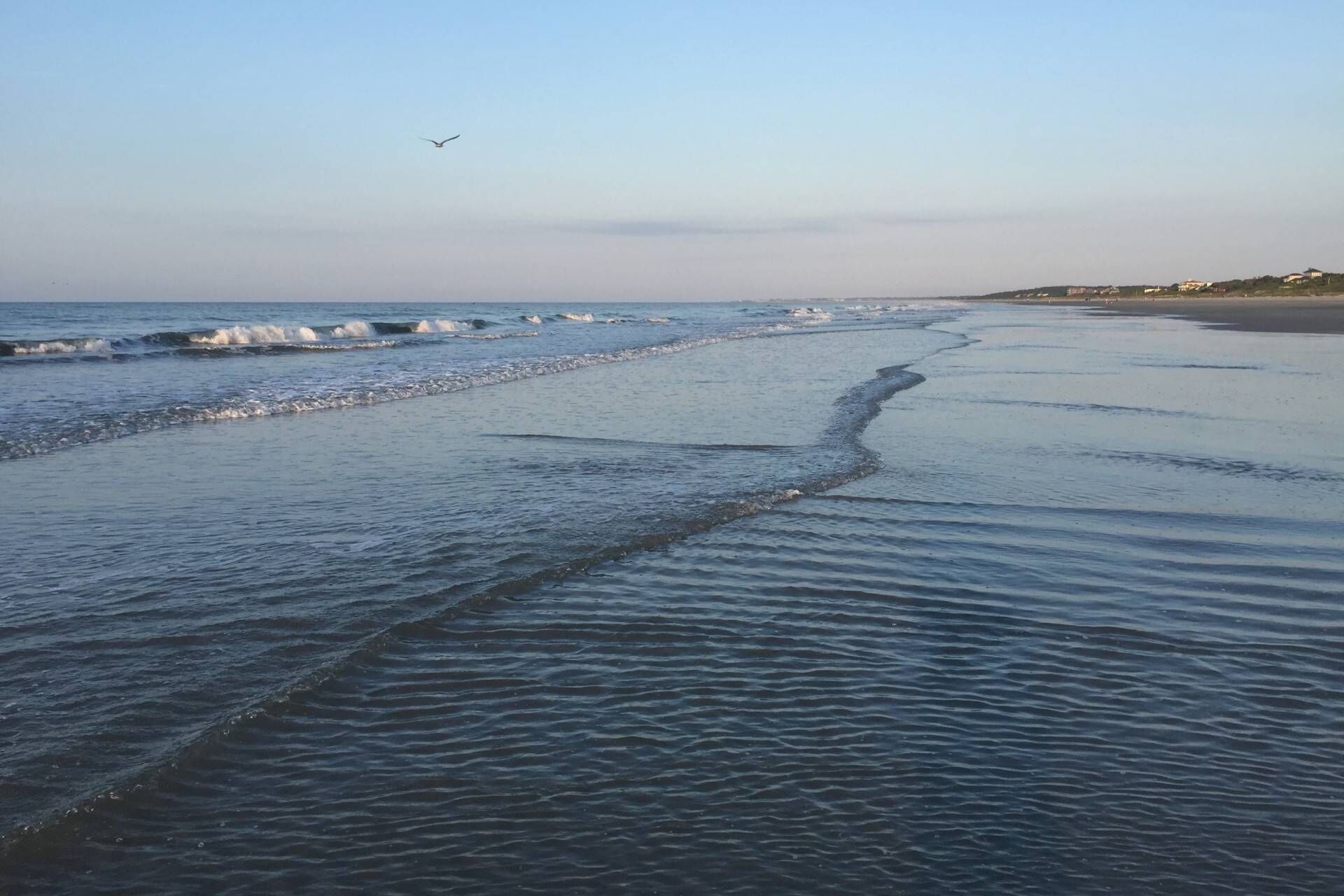 Une plage avec des vagues, un oiseau qui vole et des bâtiments visibles au loin.