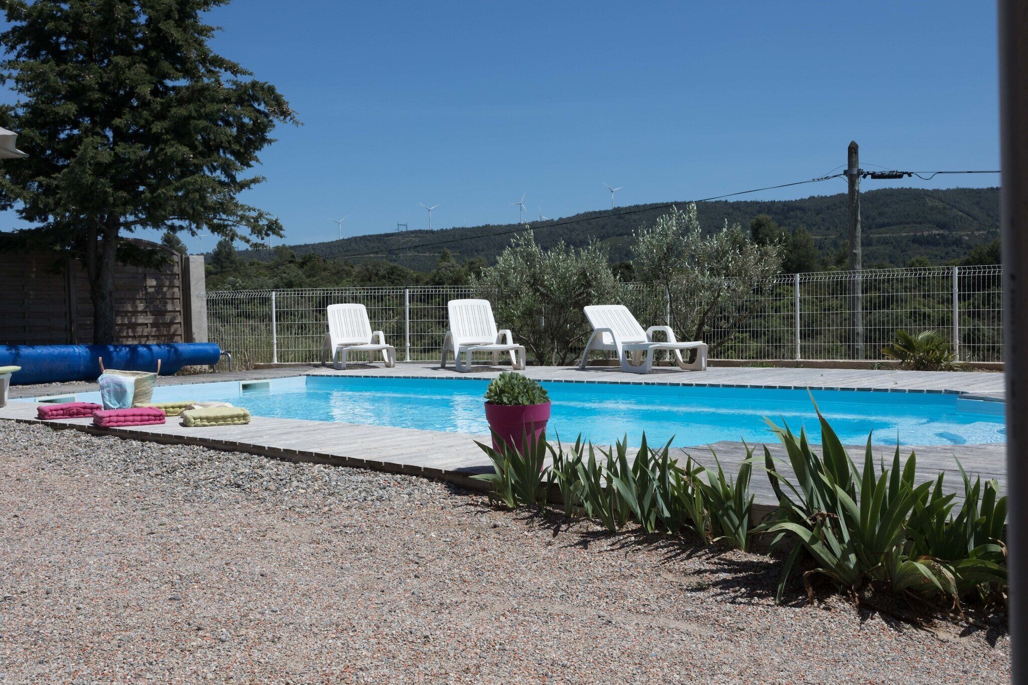 Ein Schwimmbecken mit Liegestühlen und einer Topfpflanze.