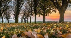 A field with trees and a sunset in the background. - Homerez - House in Mouterre-Silly. (Mouterre-Silly)