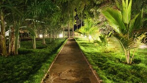 Ein gepflasterter Weg, gesäumt von üppiger Vegetation und Palmen, führt durch einen gut beleuchteten Garten.