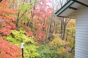 View from property - Resort Pension Shikisai (Gujo)