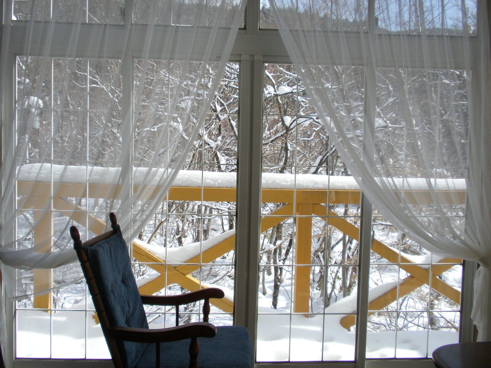View from property