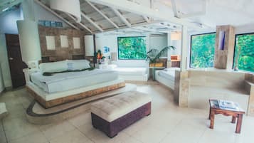 1 habitación, minibar, decoración personalizada y muebles diferentes
