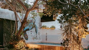 A garden with a swimming pool, stone pathway, and various plants. - Amaia Boutique Hotel (Sayulita)