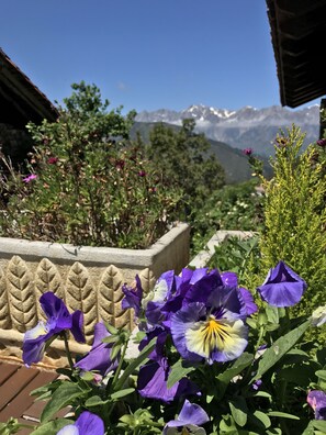 Terrain de l’hébergement 