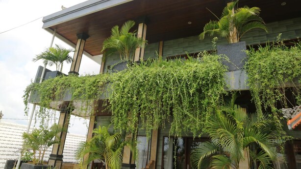 Exterior - Bima Sakti House Canggu (Canggu)