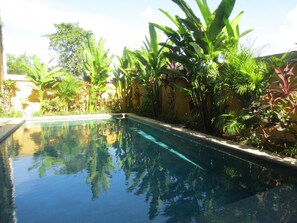 Outdoor pool - Bima Sakti House Canggu (Canggu)
