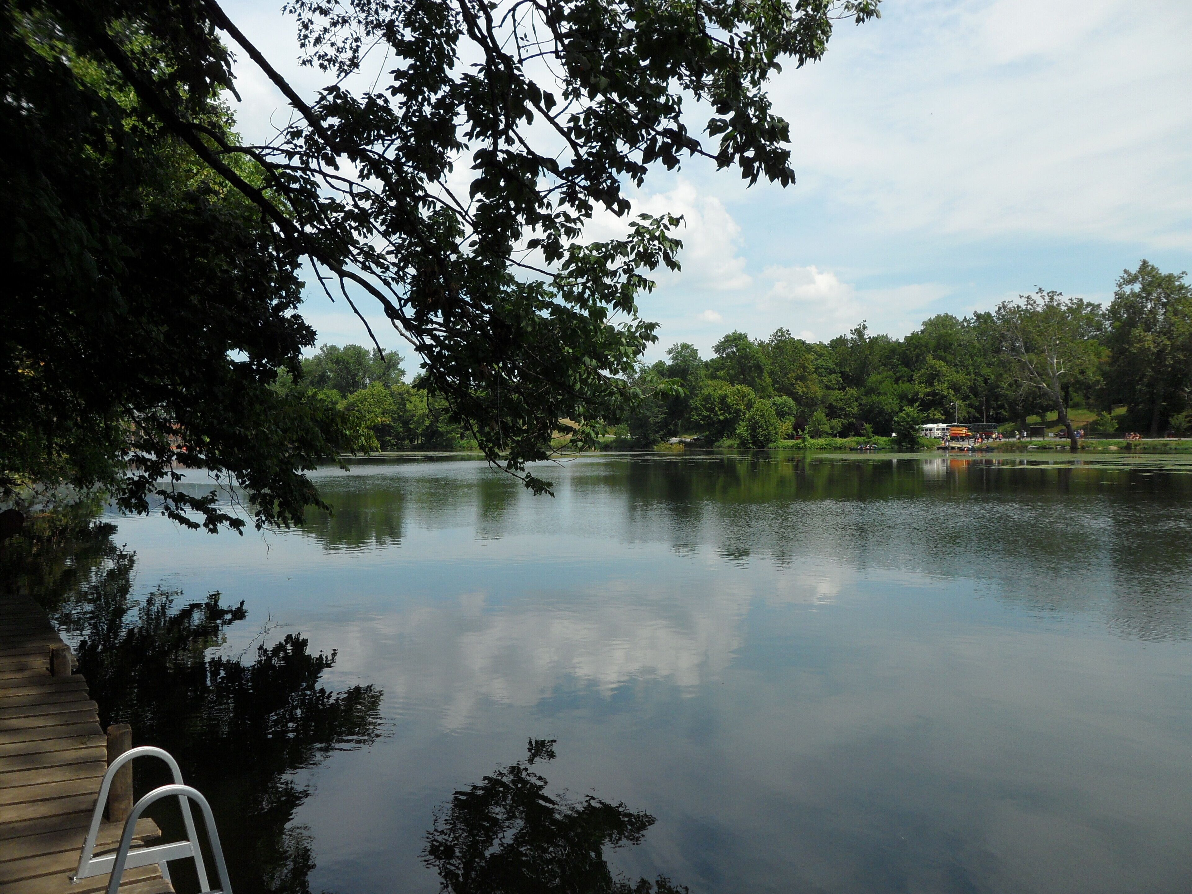 A calm lake with a wooden dock and a ladder, surrounded by lush greenery and trees.