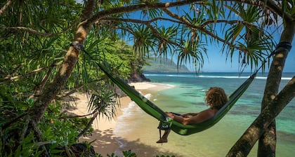 Experience the Island Paradise of Kauai's North Shore from above the Treetops.