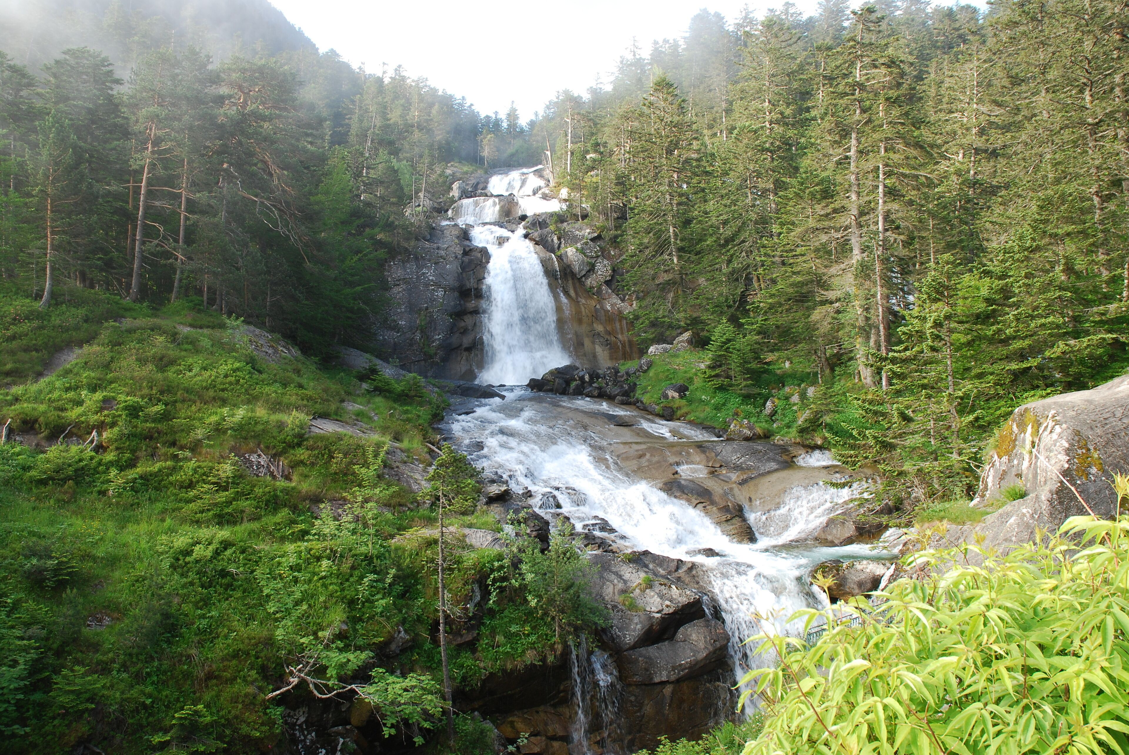 Une cascade d’eau qui dévale une vallée boisée, parsemée d’arbres denses et de rochers.