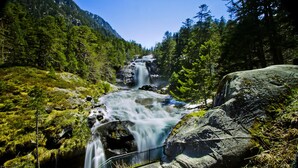 A waterfall in a forested area with a metal railing in the foreground. - RENT CHARMING STUDIO (Cauterets)