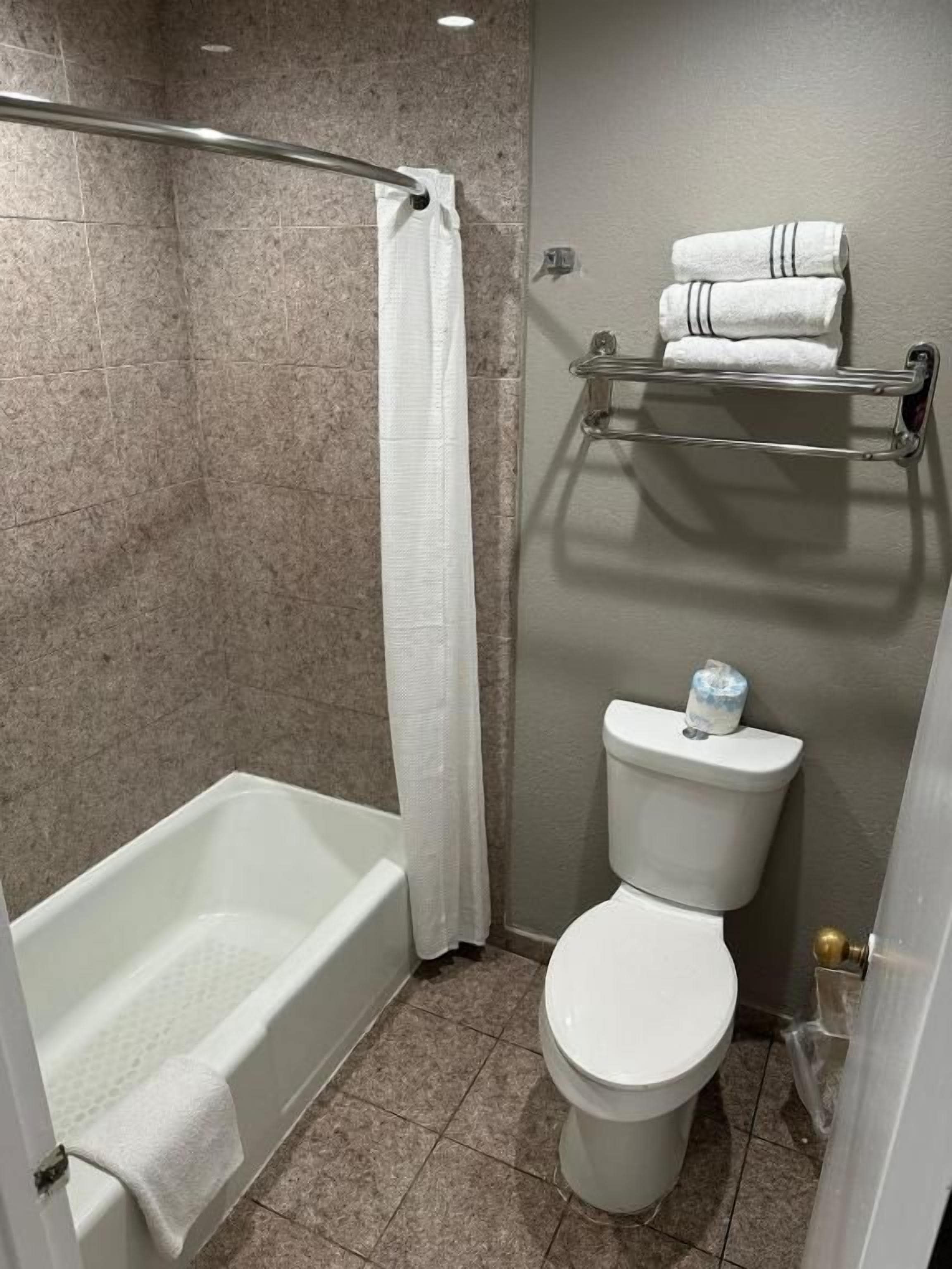 Une salle de bain avec une baignoire, des toilettes et un porte-serviettes.