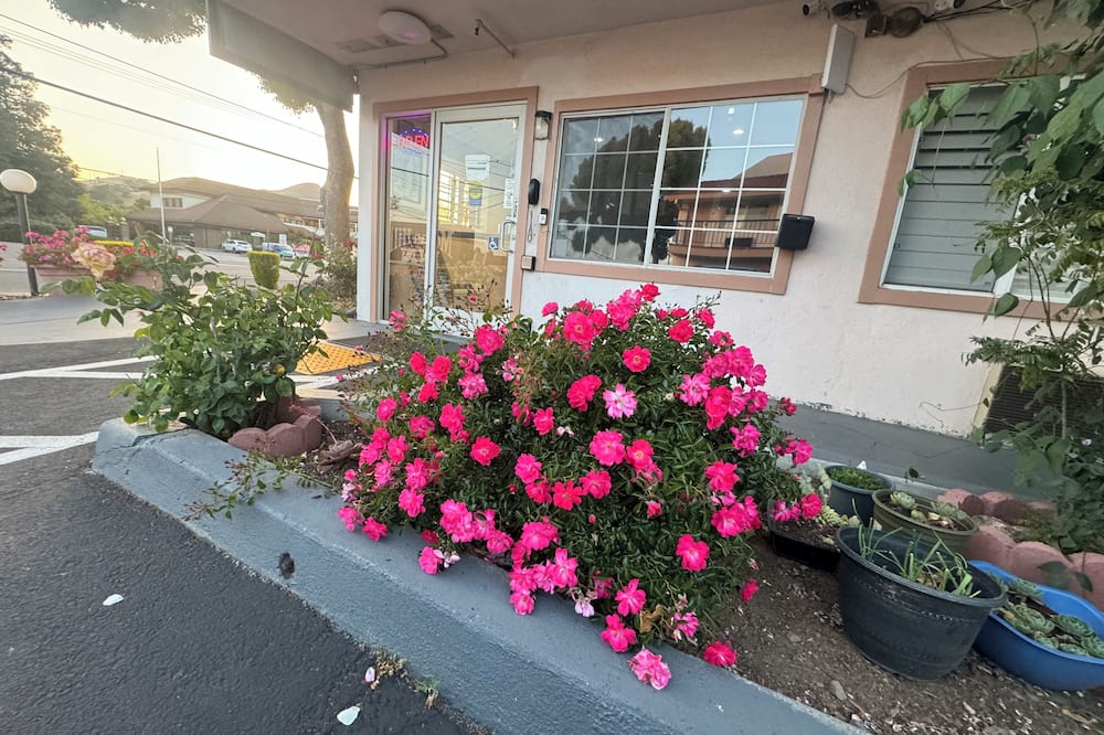 Morganhill Inn Motel