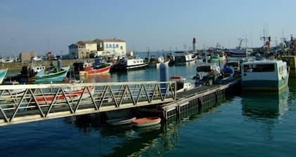 OLERON ISLAND superb villa with terrace and garden near the sea