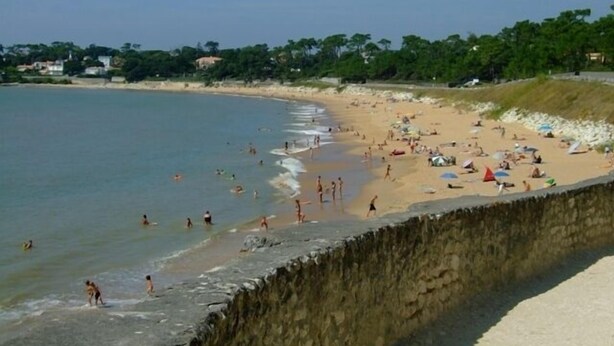 Una playa con gente nadando y tomando el sol, un muro de piedra y follaje al fondo.