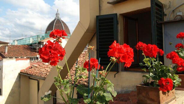 A building with a dome and red flowers in front. - Breathtaking view, terrace and elevator (Firenze)