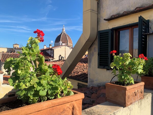 A rooftop garden with potted plants and a view of a building with a dome. - Breathtaking view, terrace and elevator (Firenze)