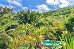 Outdoor pool - Private villa with pool with amazing views . (La Guancha)