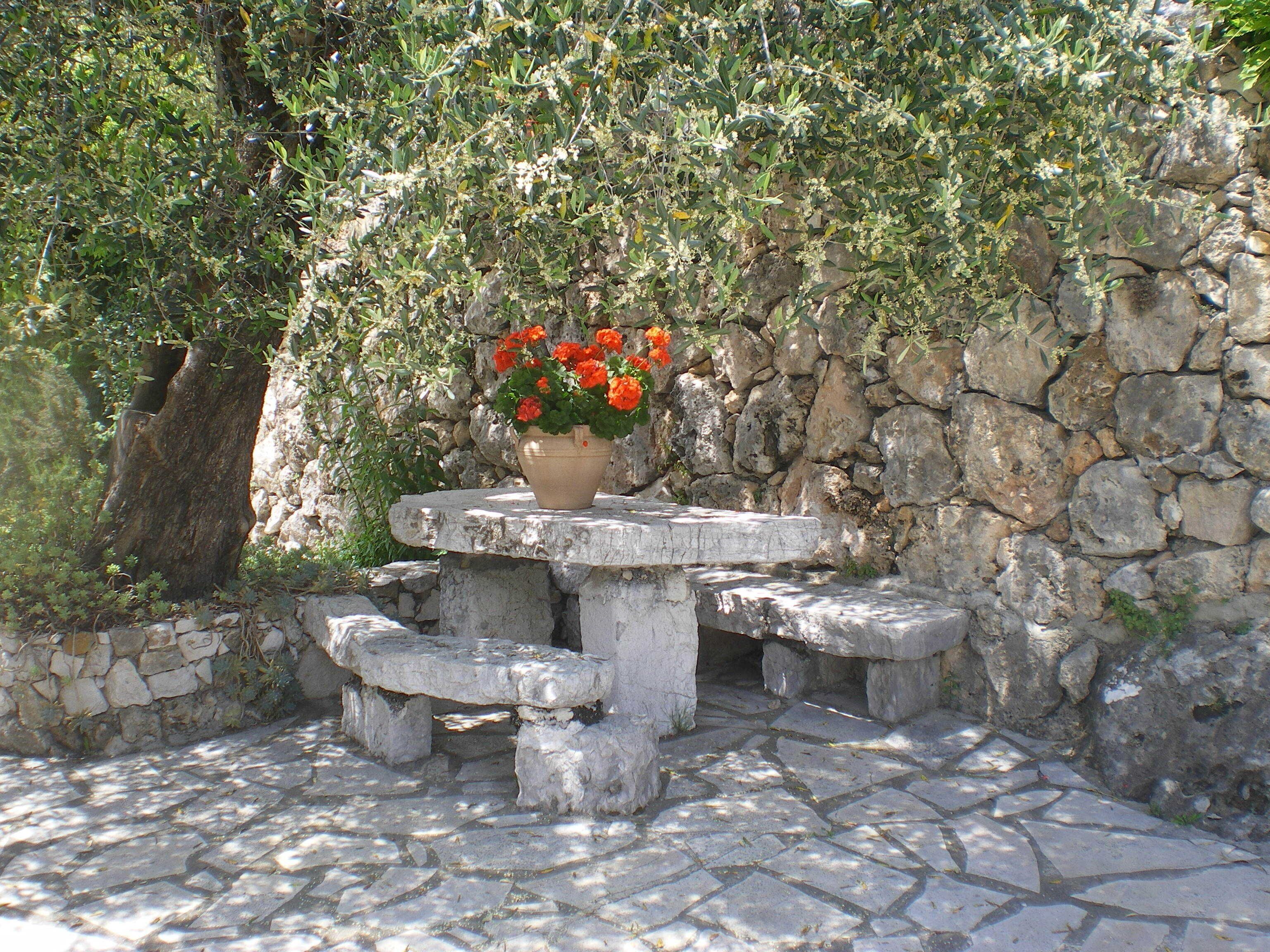 A stone table with a potted plant in the center, surrounded by stone benches.