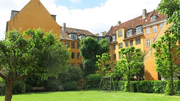 A courtyard with a grassy lawn, trees, and a swing set.