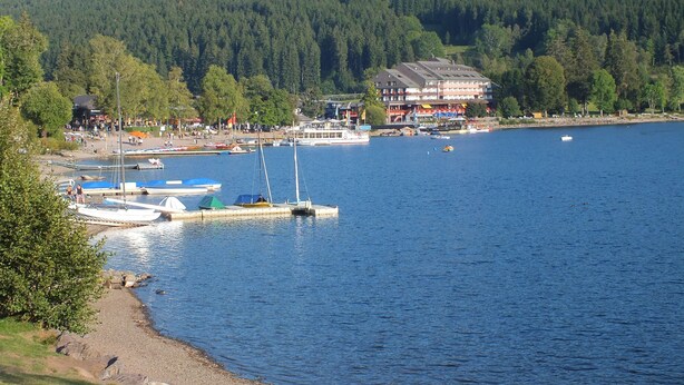 A lakeside view with boats docked, a building with a sloped roof, and a forested hill in the background. - Lovely, quiet 4-star apartment for two - close to village and lake - Wi-Fi (Titisee-Neustadt)