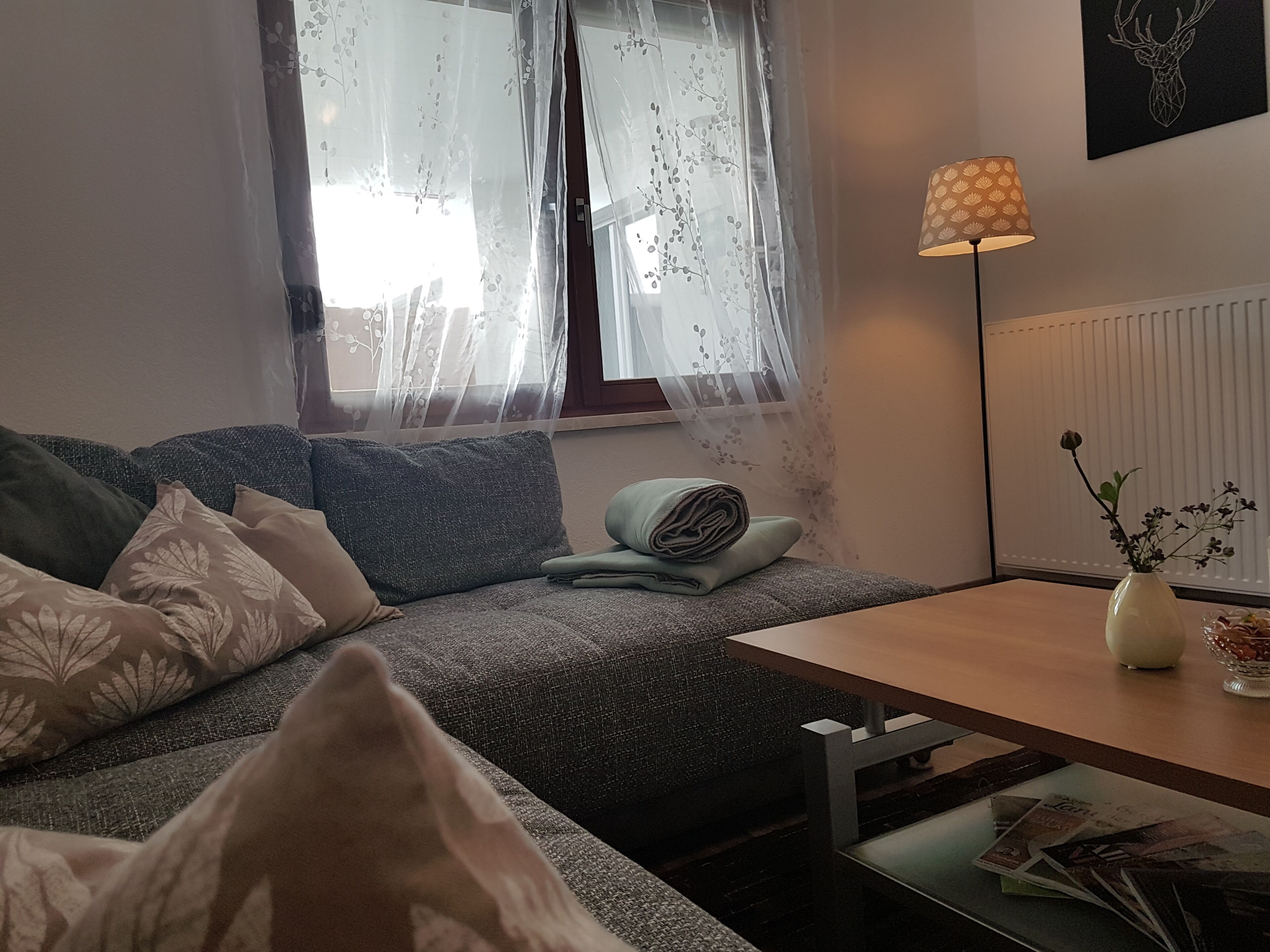 Smart TV, fireplace, table tennis, books