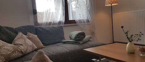 Smart TV, fireplace, table tennis, books