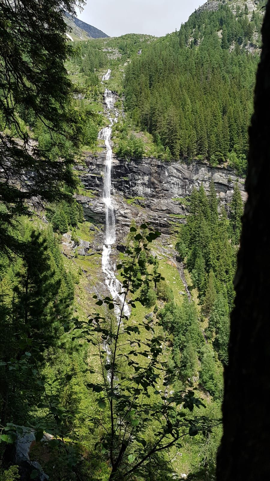 A waterfall cascading down a rocky cliff surrounded by dense forest.