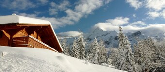 Magnifique chalet ensoleillé, expose sud, grand confort, vue Glacier Diablerets 