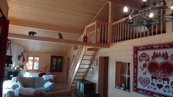 TV, fireplace, DVD player, books