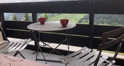 SKI AUF FUSS-WIFI-GARAGE (optional) -NICE VIEW-2 ZIMMER