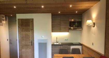 SKIS ON FOOTS-WIFI- GARAGE (optional) -NICE VIEW-2 ROOMS