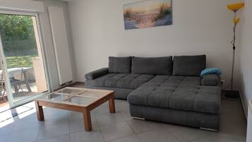 TV, fireplace, DVD player, books