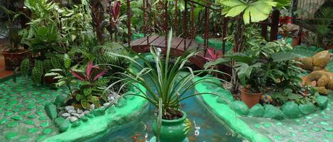 Àrea exterior de l'allotjament