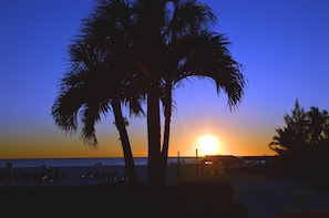 On the beach, sun-loungers - Amazing 1 Br/1 Ba Condo at Casa Mar (Siesta Key)