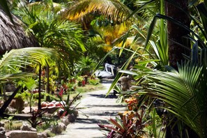 Property grounds - Sea Front 2 Bedroom w/ Queen Beds + Pool/Tours/ (San Pedro Town, Ambergris Caye)
