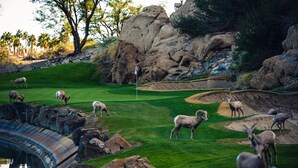 A golf course with a rocky landscape, a water feature, and several deer grazing. - Luxury Lake Front PGA West Golf Course View Townhome / Private Spa / Adults Only (La Quinta)