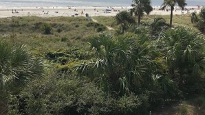 Blick auf einen Strand mit Palmen und Badegästen.