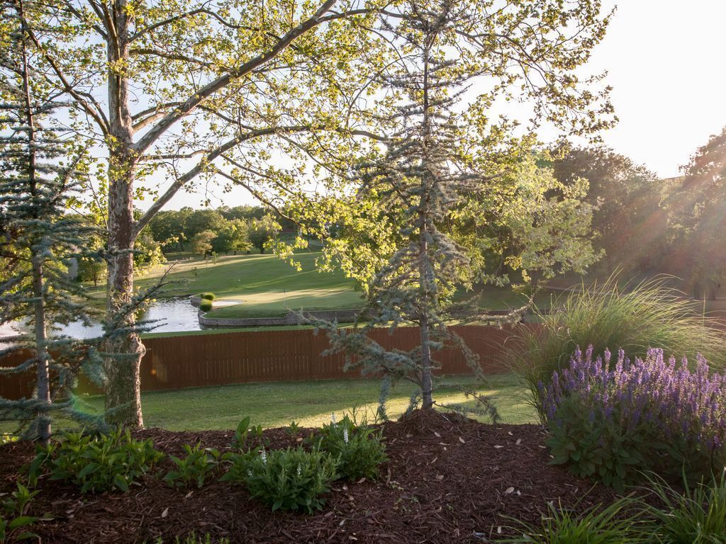 A landscaped garden with a pond, trees, and flowering plants.