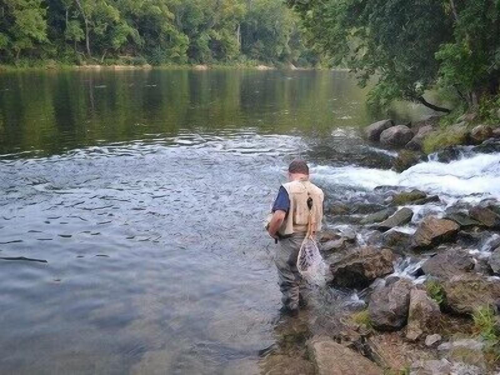 A person standing by a river with a backpack, surrounded by rocks and greenery.