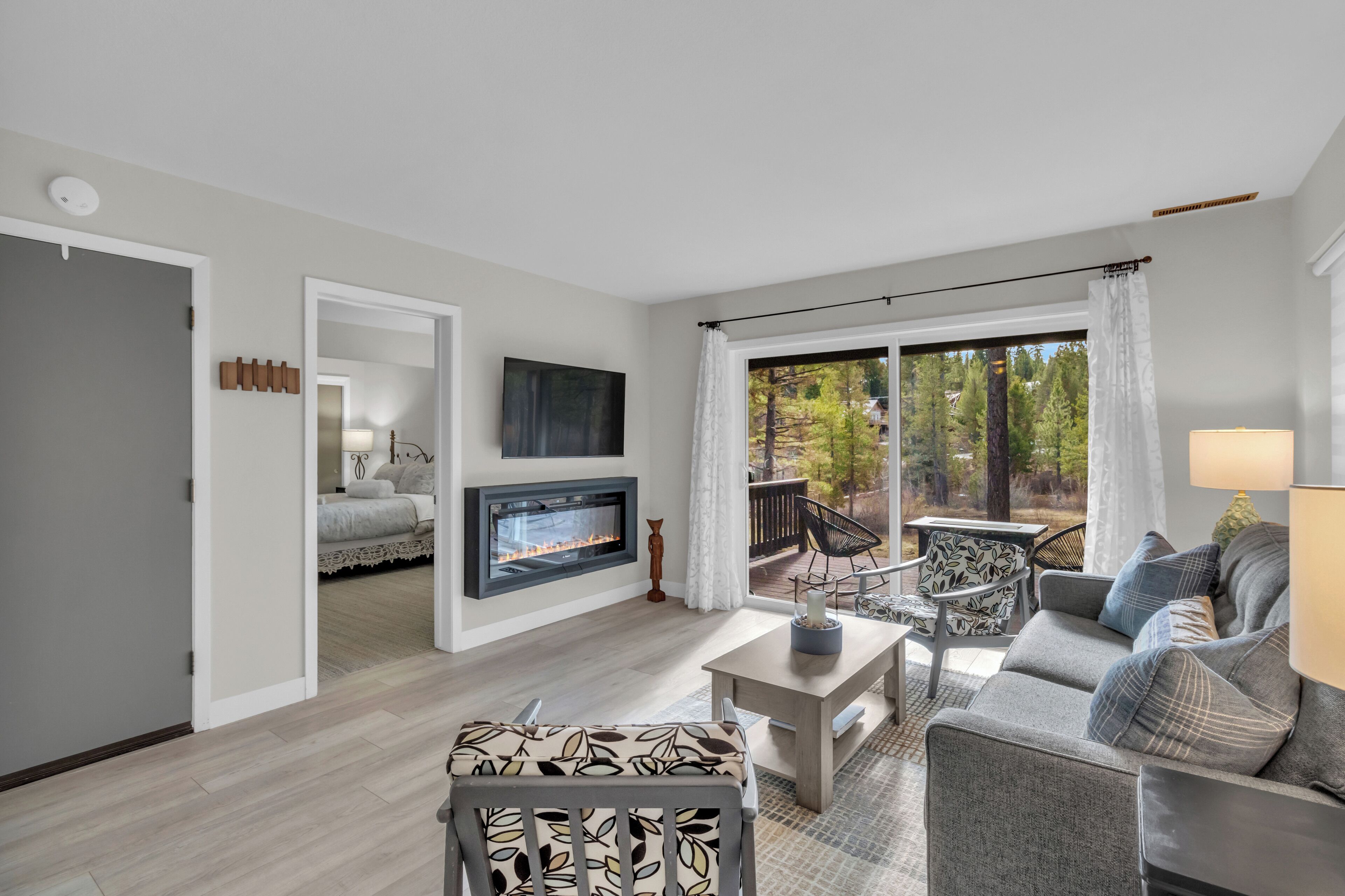 Smart TV, fireplace, books